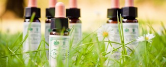 Lekovito bilje doktora Baha