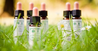 Lekovito bilje doktora Baha