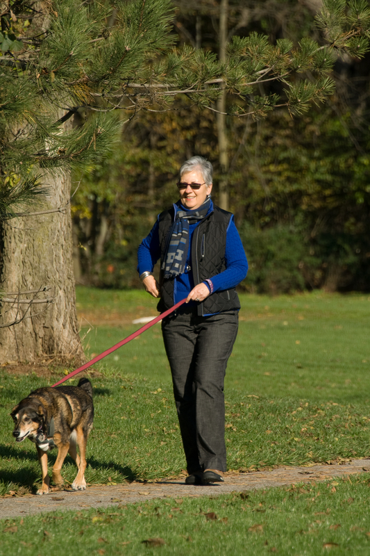 http://www.dreamstime.com/stock-photography-senior-woman-walking-dog-image22255792