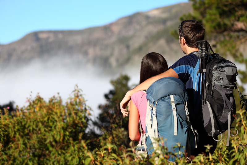 http://www.dreamstime.com/stock-photos-couple-hiking-looking-view-image19530813