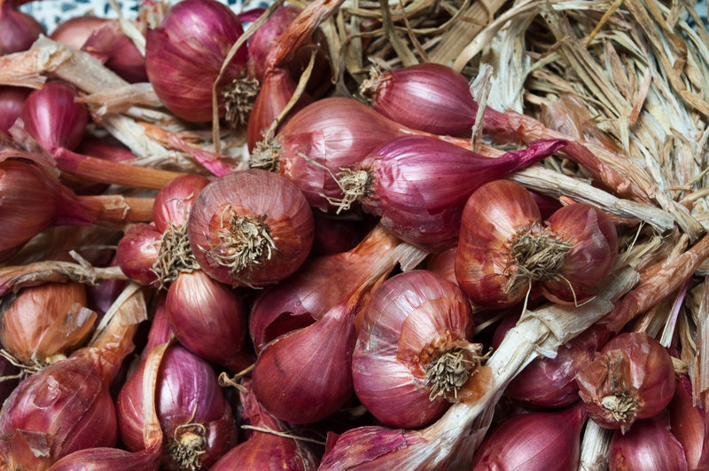 http://www.dreamstime.com/royalty-free-stock-image-shallots-image15351496