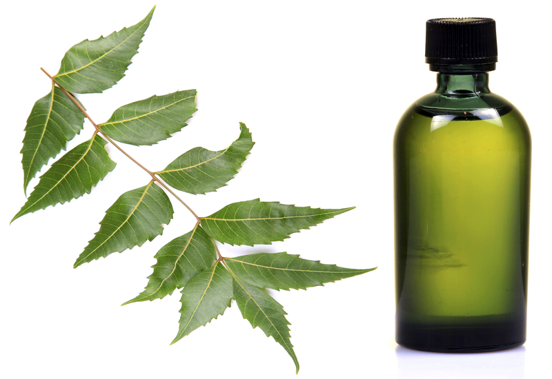 http://www.dreamstime.com/royalty-free-stock-image-neem-oil-image19502426