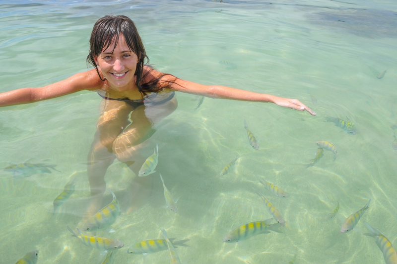 http://www.dreamstime.com/stock-photography-young-women-swimming-tropical-fish-bahia-boipeba-brazil-south-america-image41218842
