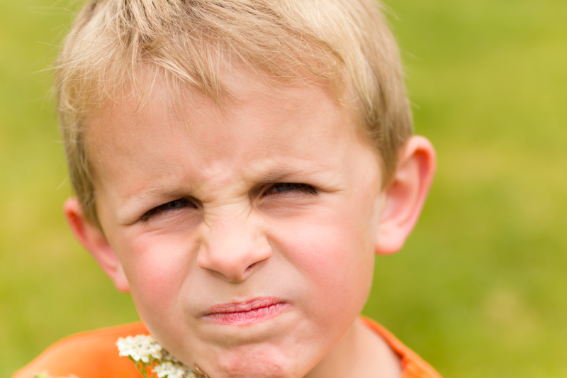 http://www.dreamstime.com/royalty-free-stock-photos-displeased-young-boy-image26812488