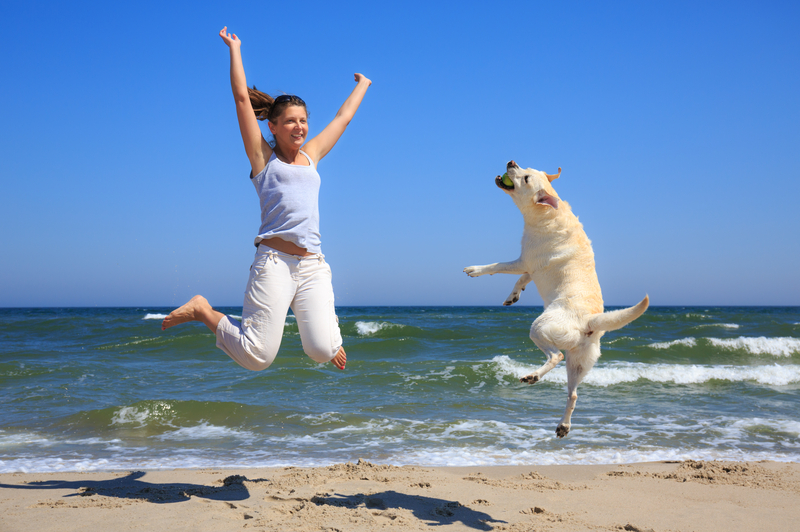 http://www.dreamstime.com/royalty-free-stock-photos-woman-dog-breed-labrador-jumping-beach-background-sea-image42438778