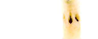 Ostaci ovih namirnica definitivno nisu za bacanje