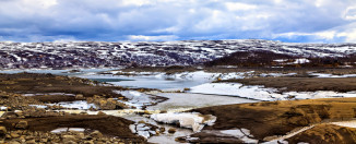 Nordijska dijeta – najefikasnija i najbolja za zdravlje