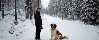 Kako da budete zdraviji tokom zime