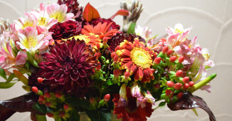 Ojačajte organizam pre sezone alergija