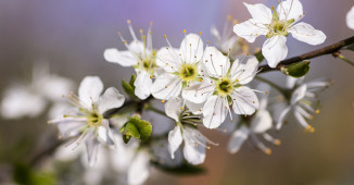 Iskoristite proleće i prigrlite zdrave navike