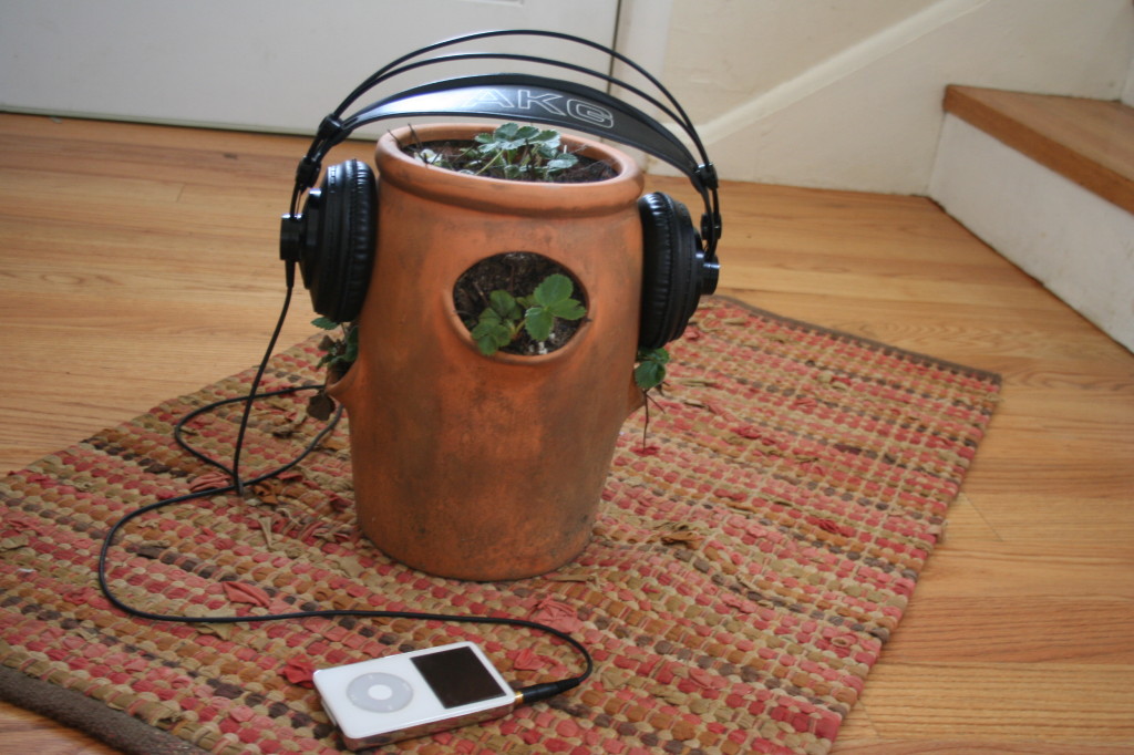 biljke muzika 2