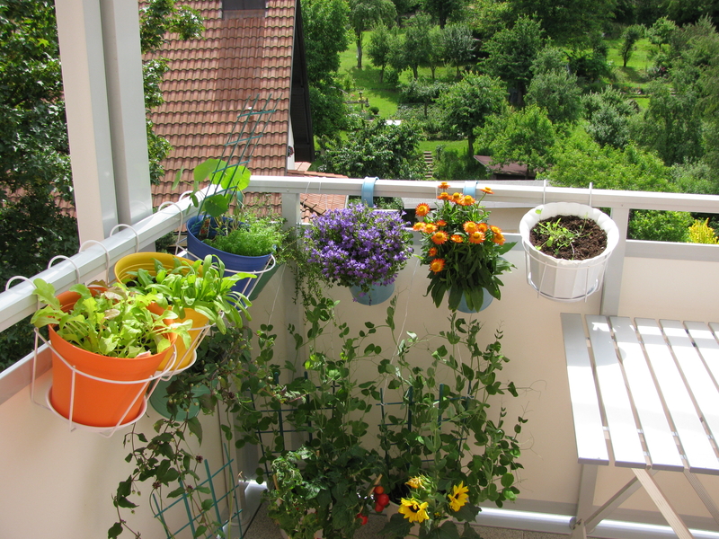 http://www.dreamstime.com/stock-image-balcony-flowers-vegetables-image23571621