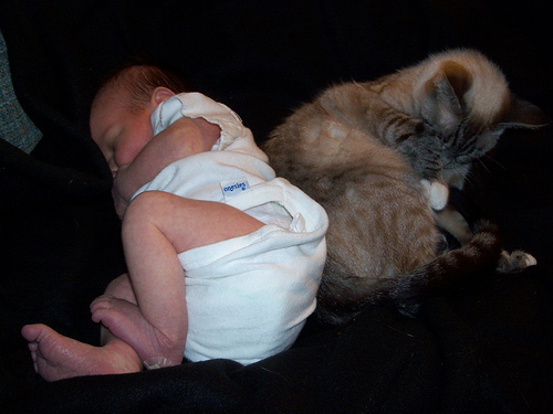 beba i macka spavaju