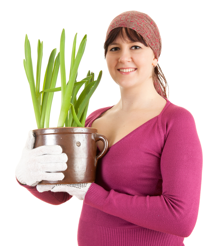 http://www.dreamstime.com/royalty-free-stock-image-pregnant-woman-plant-pot-image24602606