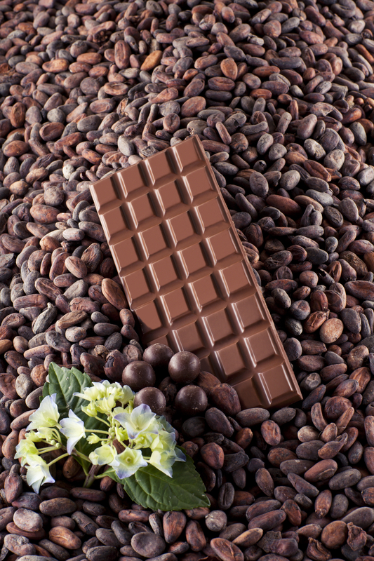 http://www.dreamstime.com/stock-photo-milk-chocolate-flower-cocoa-beans-background-image30015590