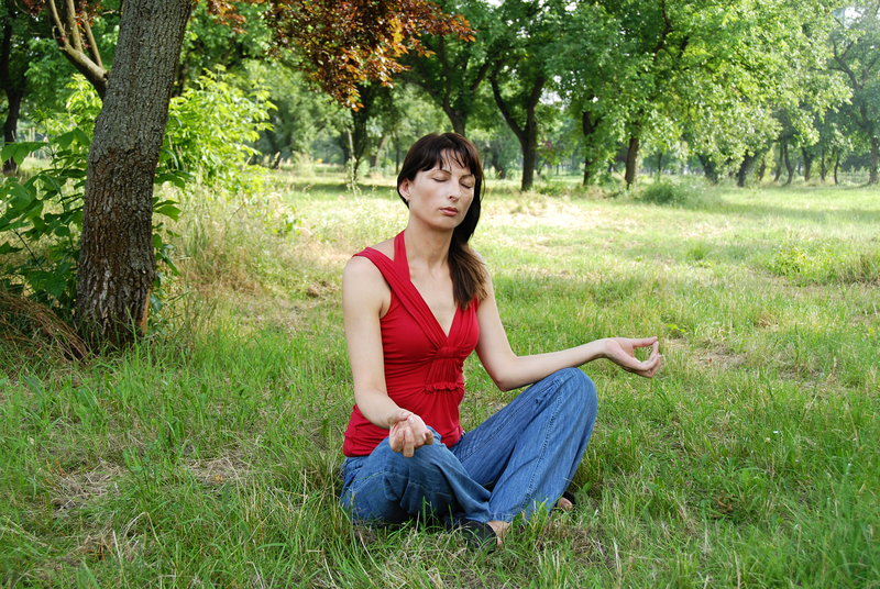 http://www.dreamstime.com/stock-photo-woman-meditation-caucasian-brunette-pose-outdoors-image33287510