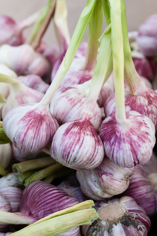 http://www.dreamstime.com/stock-photos-garlic-fresh-organic-farmer-s-market-image41008173