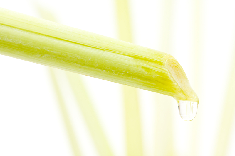 http://www.dreamstime.com/royalty-free-stock-photography-lemongrass-oil-image20148227