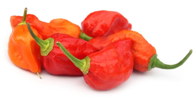 http://www.dreamstime.com/stock-photography-naga-chili-cilies-bangladesh-over-white-background-image34040662