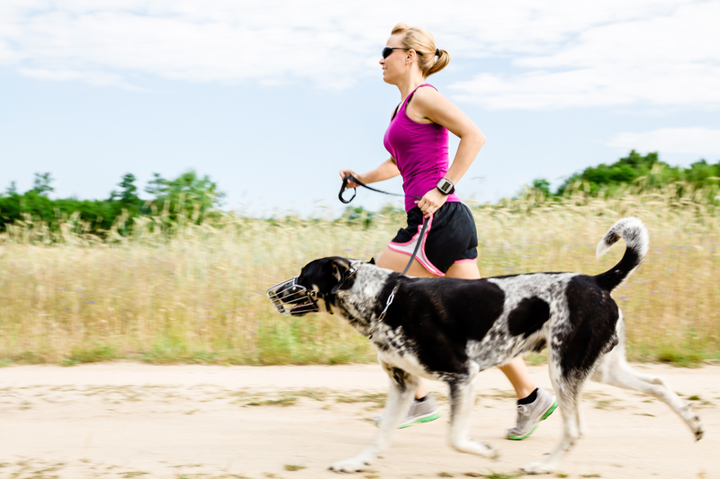http://www.dreamstime.com/stock-image-woman-runner-running-walking-dog-summer-nature-image27795631