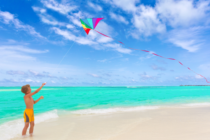 http://www.dreamstime.com/royalty-free-stock-photography-boy-flying-kite-beach-image16624877