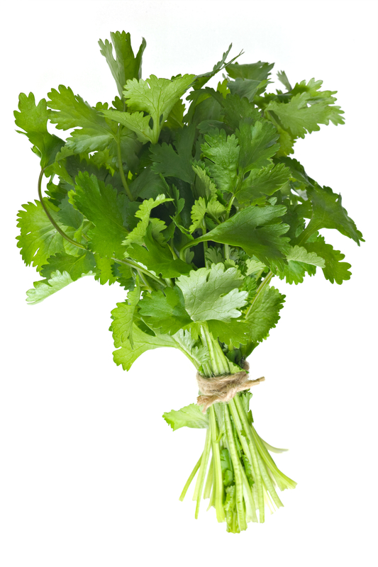 http://www.dreamstime.com/royalty-free-stock-image-coriander-bunch-image23301416