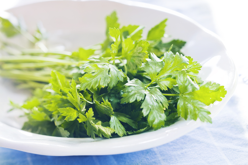 http://www.dreamstime.com/stock-image-parsley-fresh-white-plate-image33186661