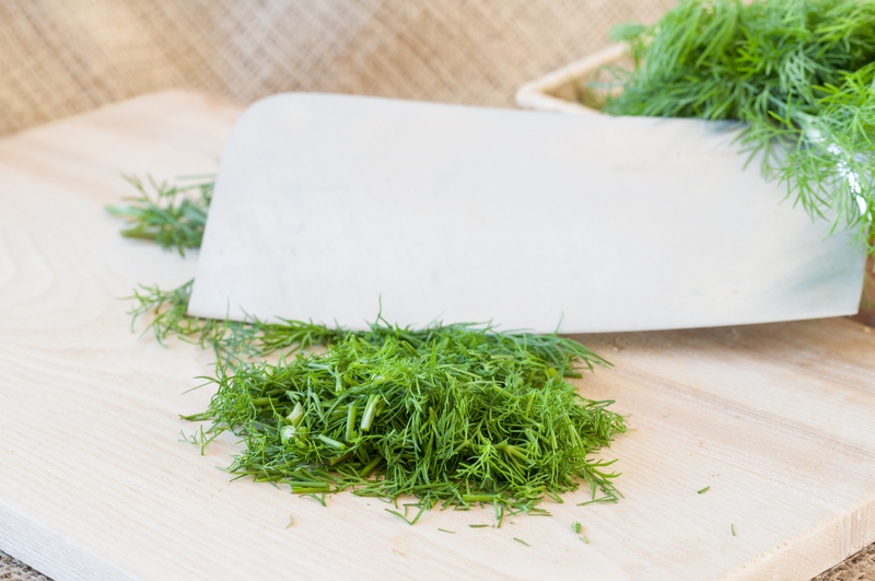 http://www.dreamstime.com/stock-image-fresh-dill-cut-still-life-image-chopped-knife-cutting-board-image41456911