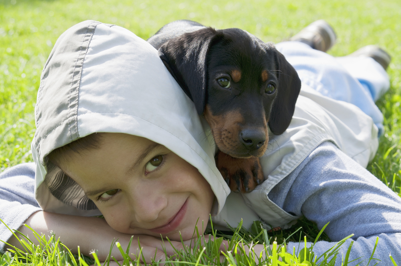 http://www.dreamstime.com/stock-photography-kid-dachshund-puppy-small-black-young-boy-green-garden-image40862392