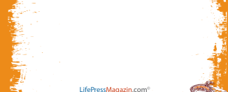 Dnevnik – Šta biste želeli da promenite?